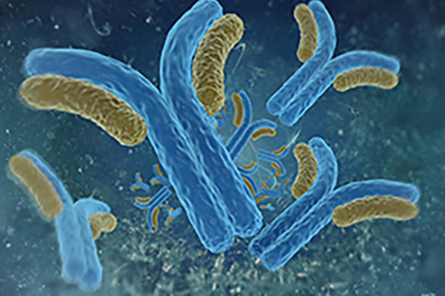 Antibody Seletion for Optimal Lateral Flow Assay Development
