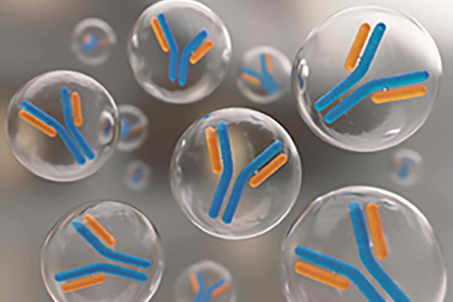 Polyclonal Antibody or Monoclonal Antibody Selection for Lateral Flow Rapid Tests
