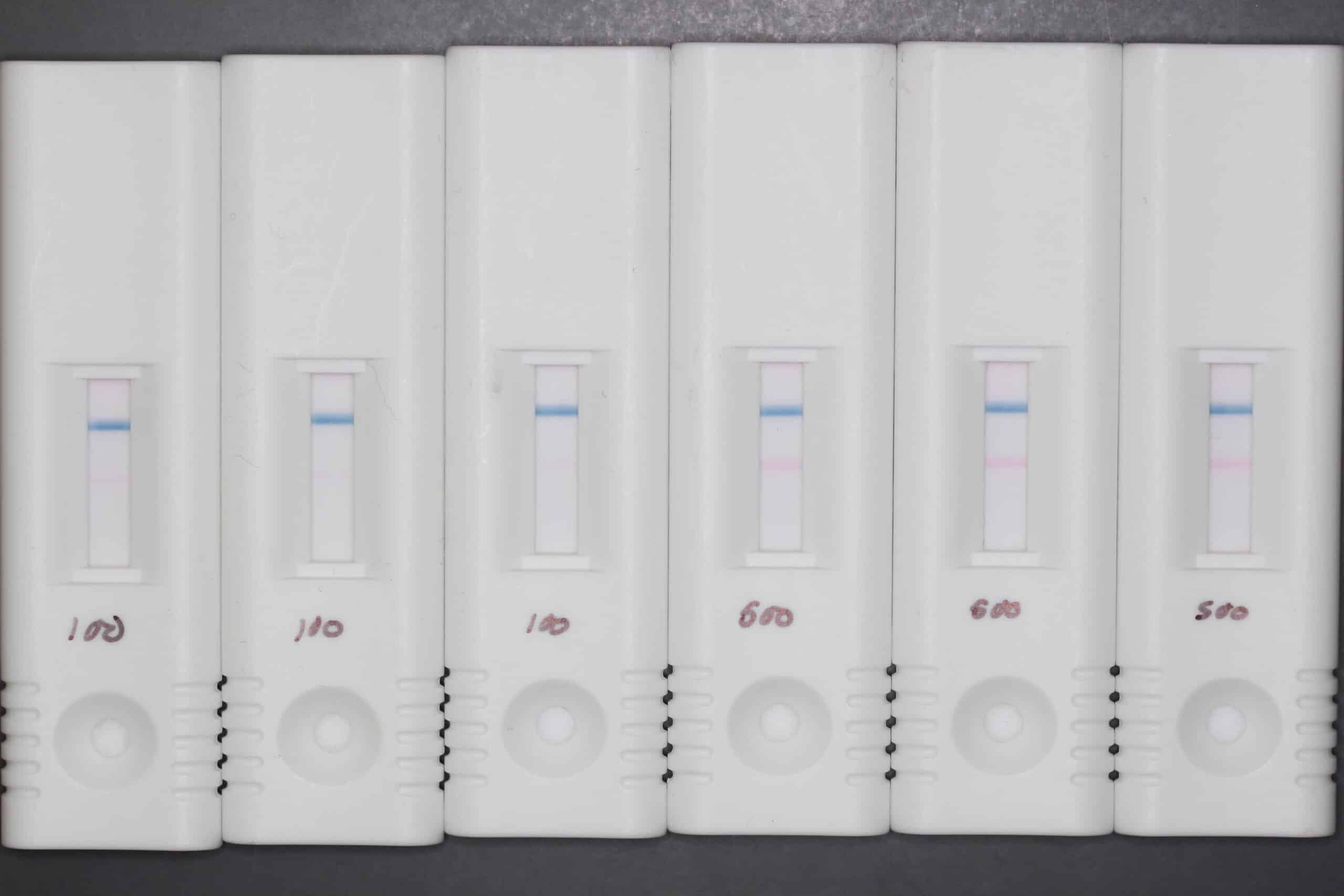 Cellulose NanoBeads 3 point of care testing,POC testing, point-of-care testing, rapid diagnostics, rapid diagnostic, lateral flow, lateral flow assay, infectious disease diagnostic testing, what is a diagnostic test?, what is a rapid diagnostic test?, what is a lateral flow test?, dcn dx, dcn diagnostics, brendan o'farrell, rapid diagnostic test, what is a rapid diagnostic, what is lateral flow, point-of-need testing, immunoassay, sample collection, sample prep, microfluidics, lateral flow test, cellulose nanobead test lines