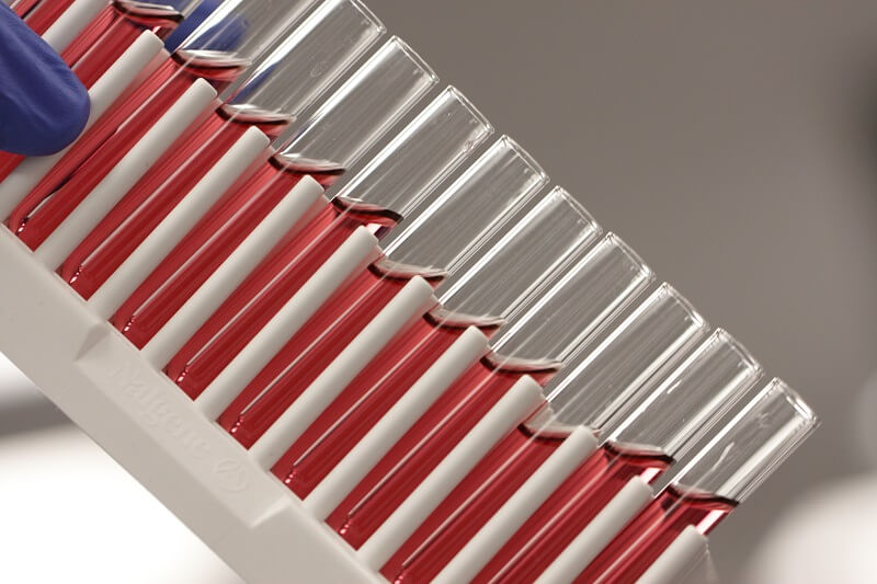 lateral flow, immunoassays, point-of-care, diagnostics, rapid tests, colloidal gold, nanoparticles